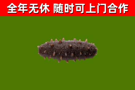 大石桥市烟酒回收干海参.jpg